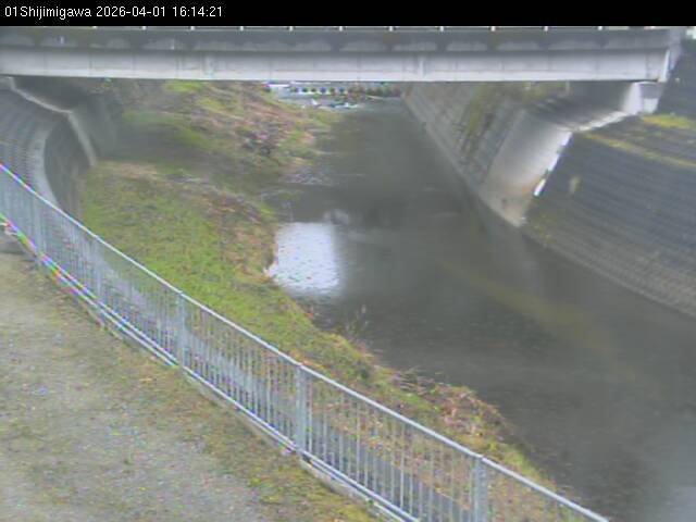 最新監視カメラ画像