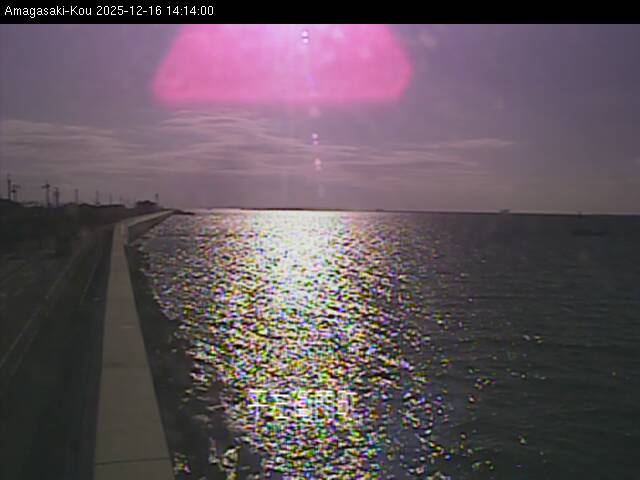 最新監視カメラ画像