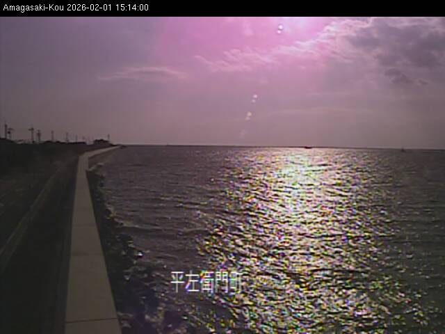 最新監視カメラ画像