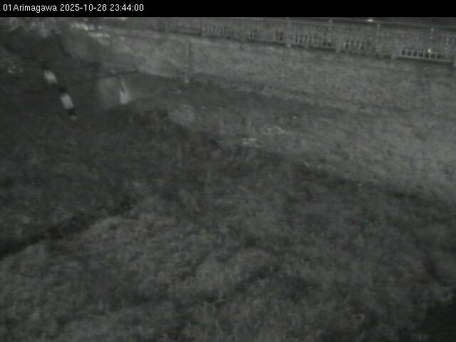 最新監視カメラ画像