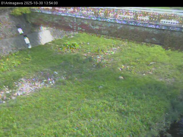 最新監視カメラ画像