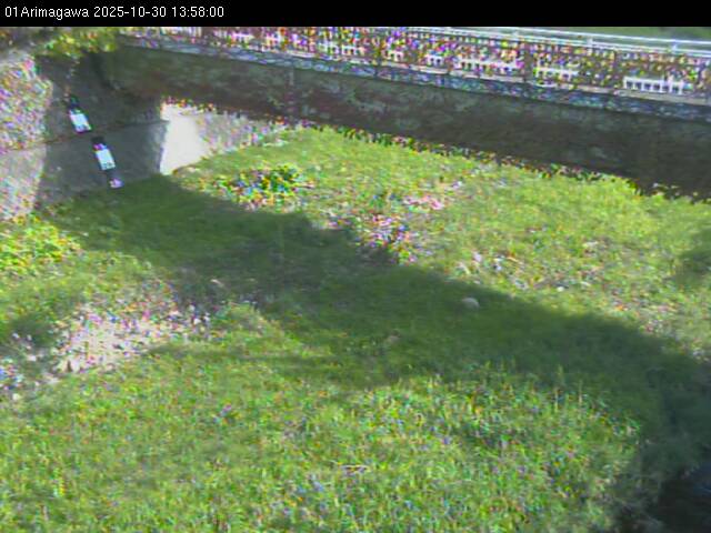 最新監視カメラ画像