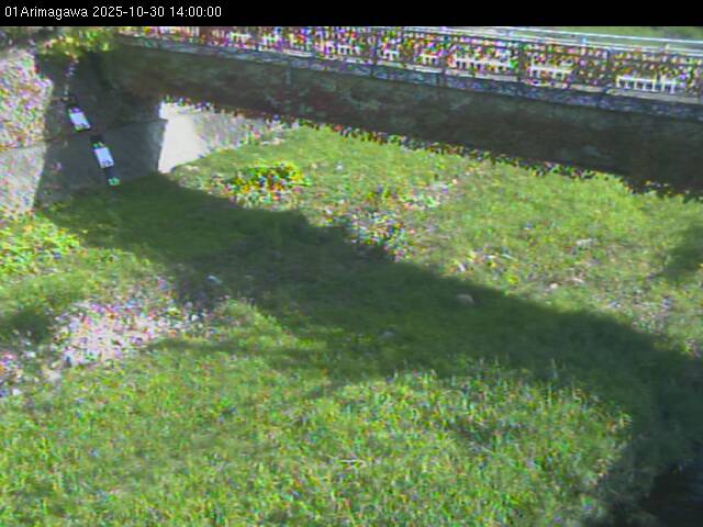 最新監視カメラ画像