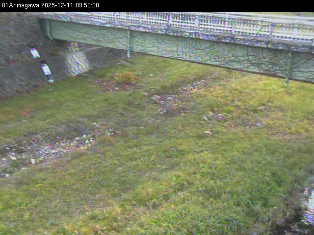 最新監視カメラ画像