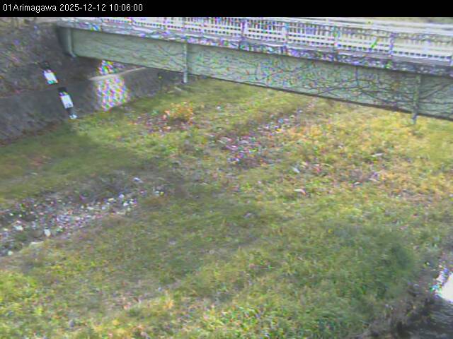 最新監視カメラ画像