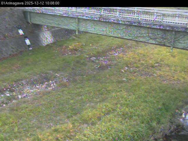 最新監視カメラ画像