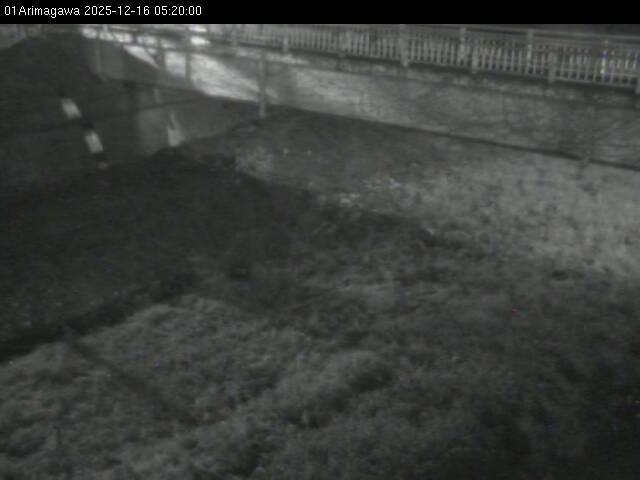 最新監視カメラ画像