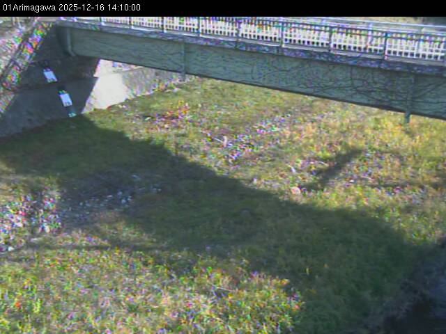 最新監視カメラ画像