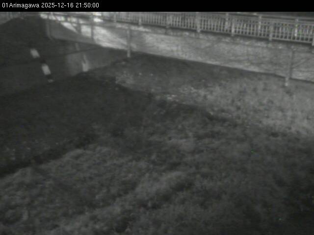 最新監視カメラ画像