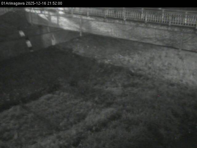 最新監視カメラ画像