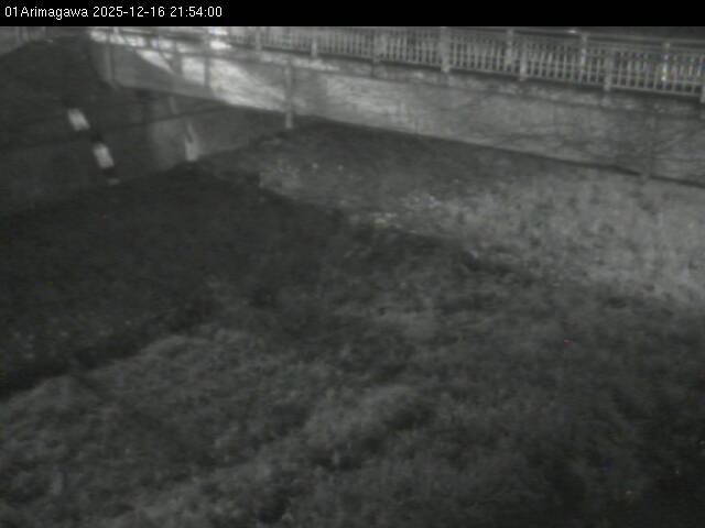 最新監視カメラ画像