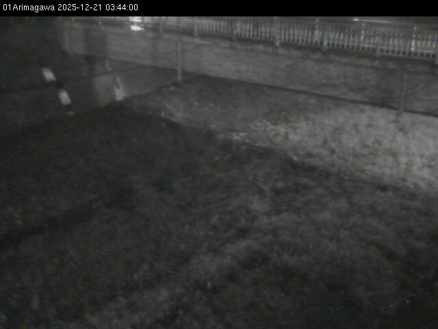 最新監視カメラ画像