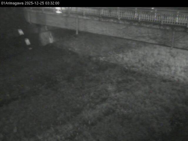 最新監視カメラ画像