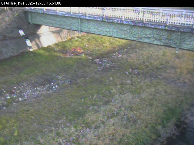 最新監視カメラ画像