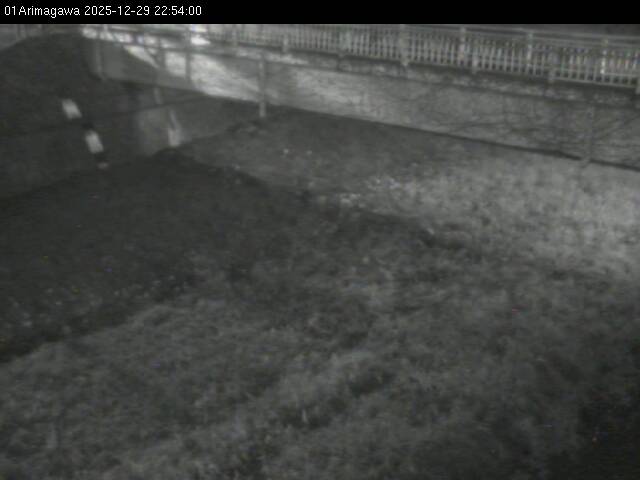 最新監視カメラ画像