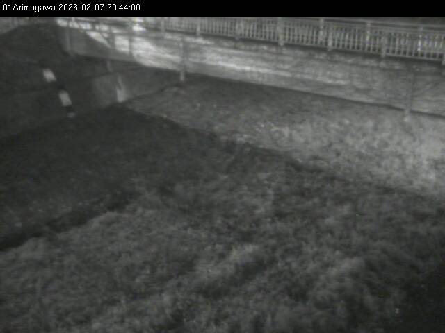 最新監視カメラ画像