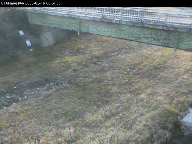 最新監視カメラ画像