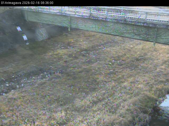 最新監視カメラ画像