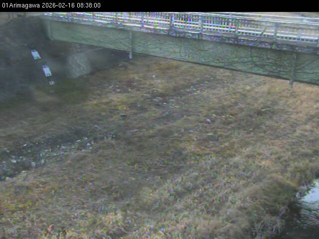 最新監視カメラ画像