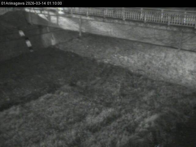 最新監視カメラ画像