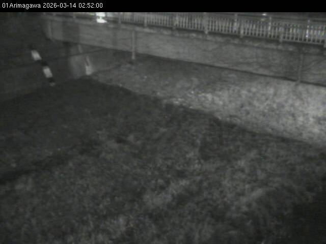 最新監視カメラ画像