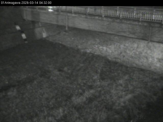 最新監視カメラ画像