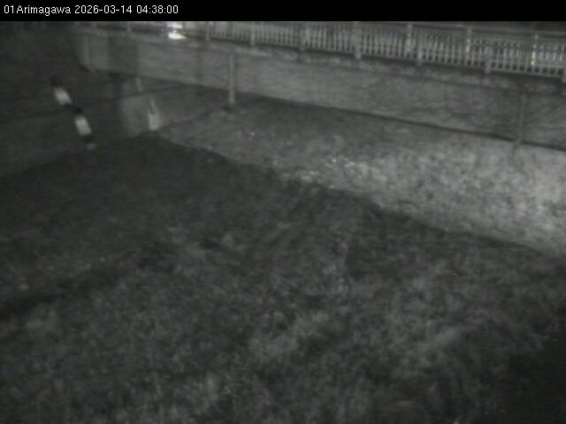 最新監視カメラ画像