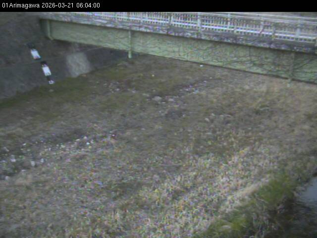 最新監視カメラ画像