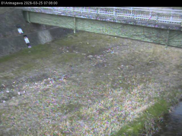 最新監視カメラ画像