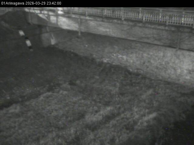 最新監視カメラ画像