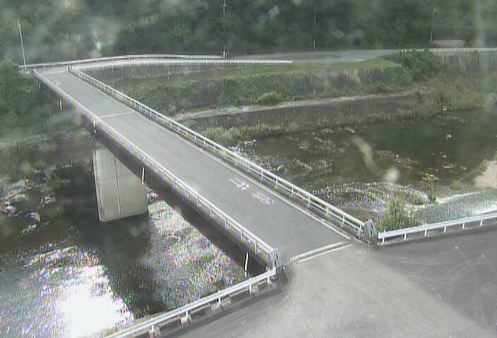 最新監視カメラ画像