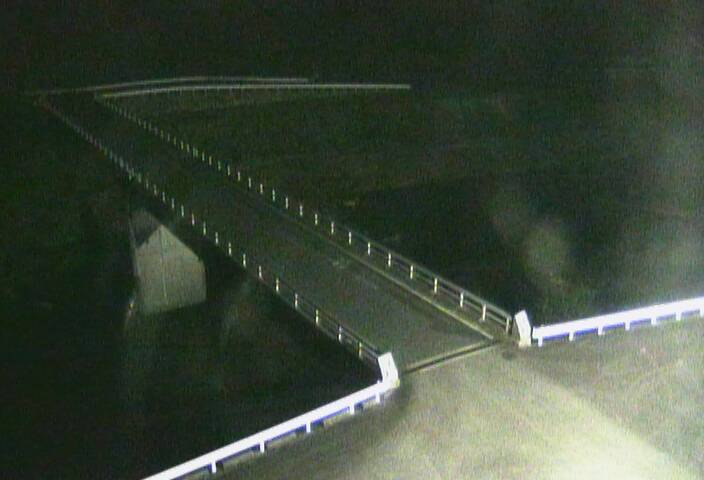 最新監視カメラ画像