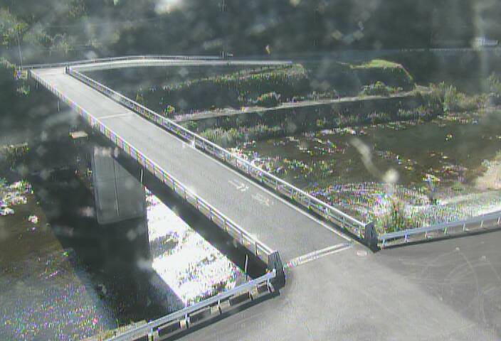 最新監視カメラ画像