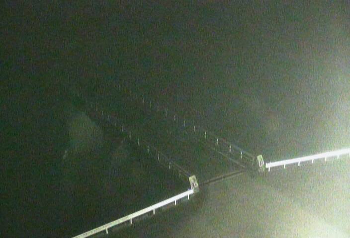 最新監視カメラ画像