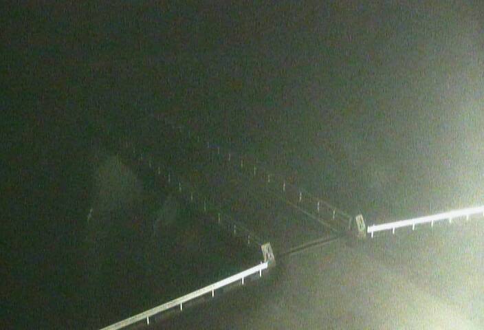 最新監視カメラ画像