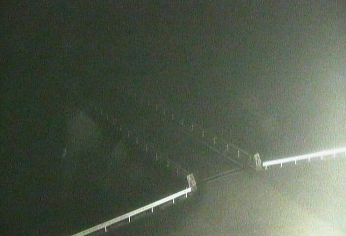 最新監視カメラ画像