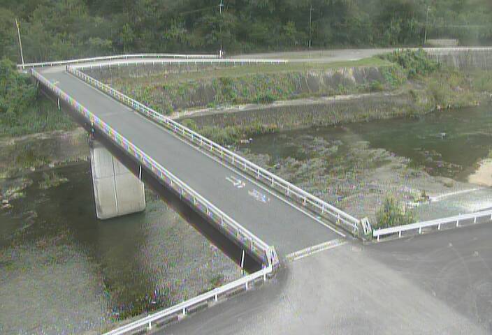 最新監視カメラ画像