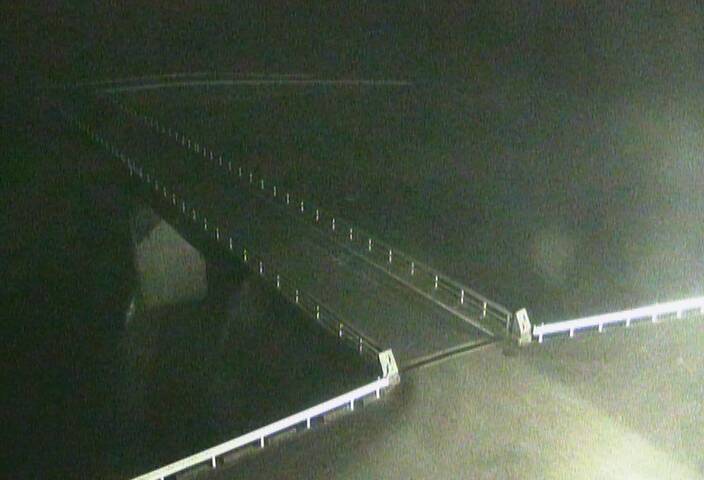 最新監視カメラ画像