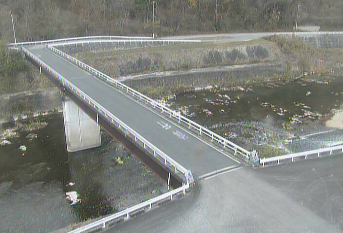 最新監視カメラ画像