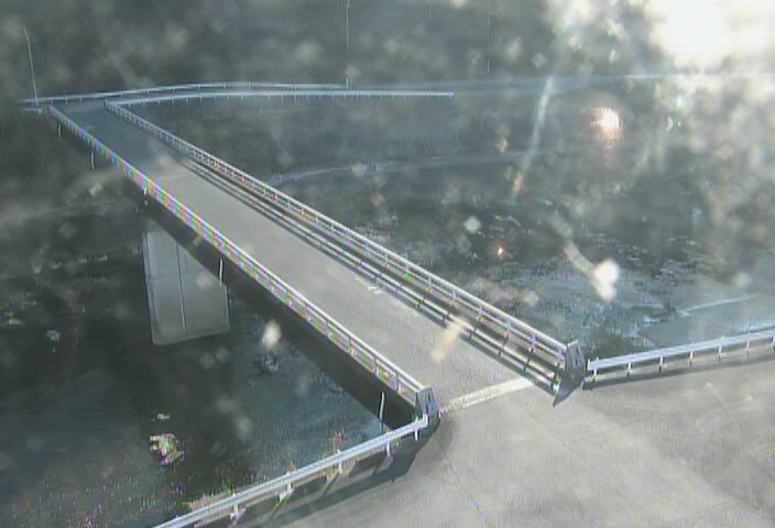 最新監視カメラ画像