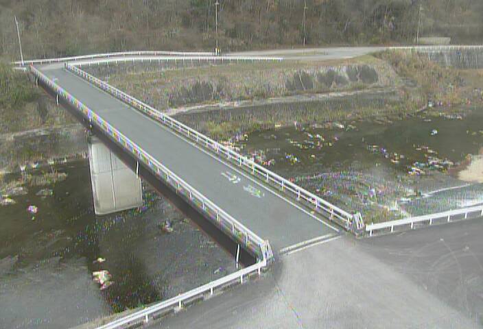 最新監視カメラ画像