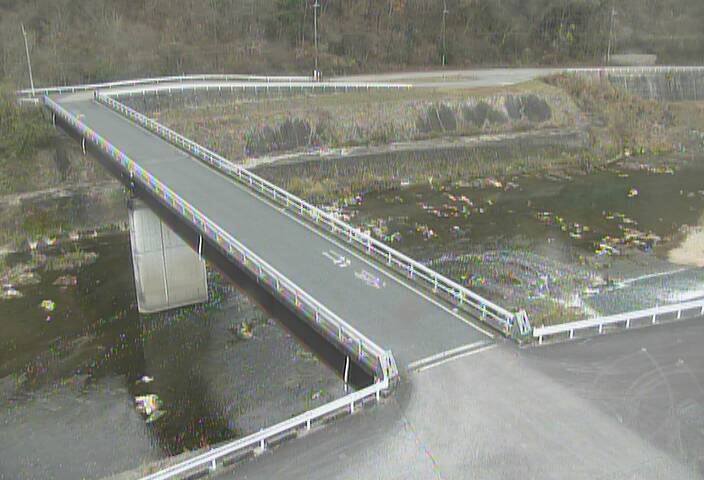 最新監視カメラ画像