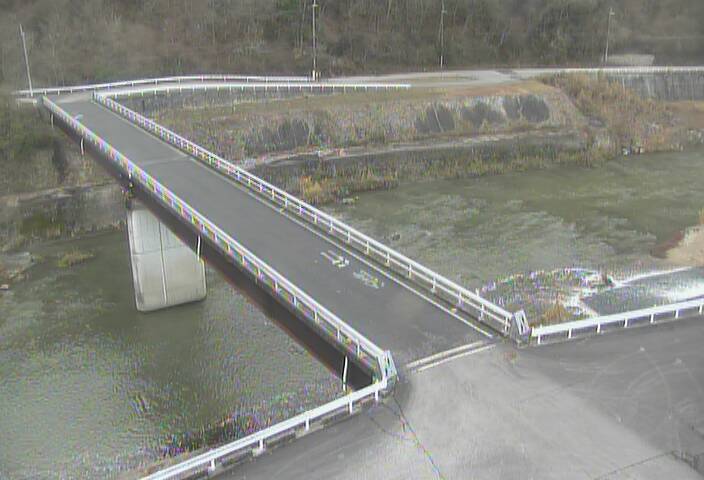 最新監視カメラ画像