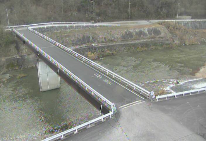 最新監視カメラ画像