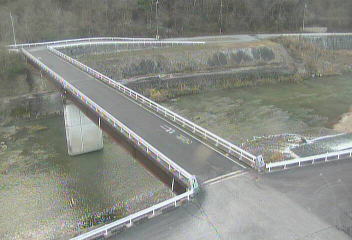 最新監視カメラ画像