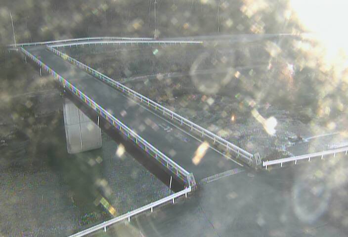 最新監視カメラ画像