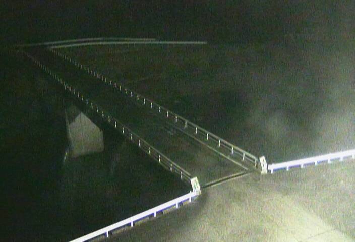 最新監視カメラ画像