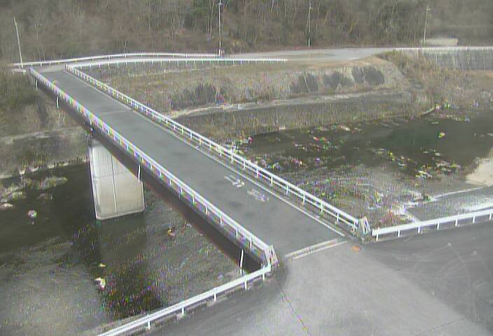 最新監視カメラ画像