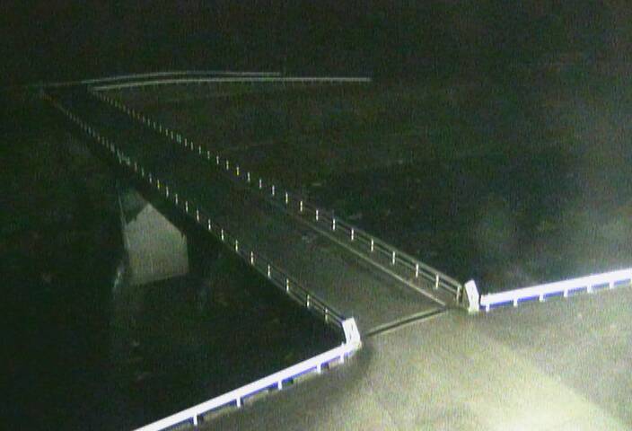 最新監視カメラ画像