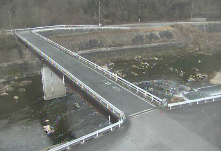 最新監視カメラ画像